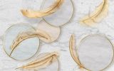3D Фотообои "Золотые перья с кругами" на флиз.осн. (300см*240см) (Песок)