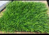Искусственная трава ширина 4м Высокий ворс 20мм Grass Mix