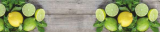 Интерьерная панель 370 Лимоны и лайм фотопечать(3000х600х1,3мм) ПП 