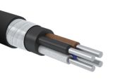 Кабель АВБШв 4х6 ОК (N) 0.66кВ (м) TOKOV ELECTRIC